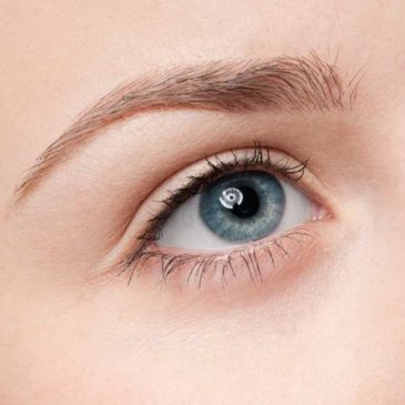 Diseño y Planchado de Cejas