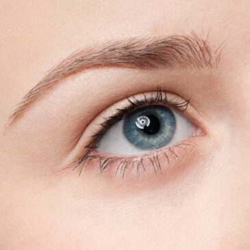 Diseño y Planchado de Cejas
